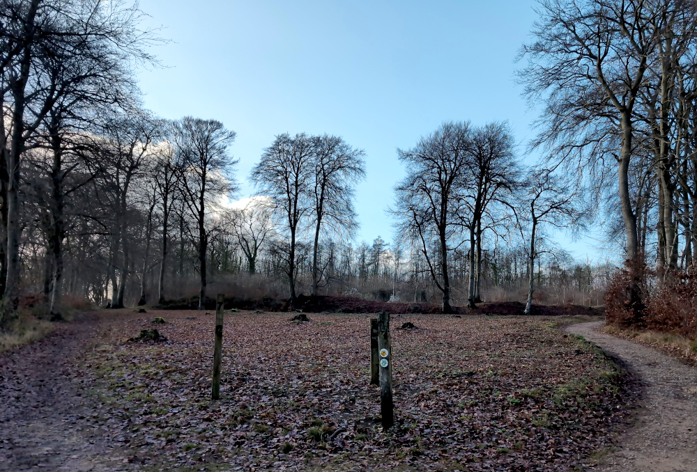 10th December Westridge Woods meeting