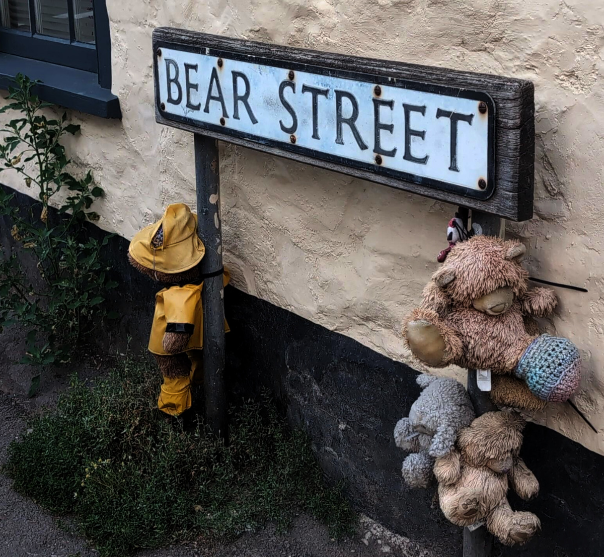Punished bear hanging by the neck from a local street sign