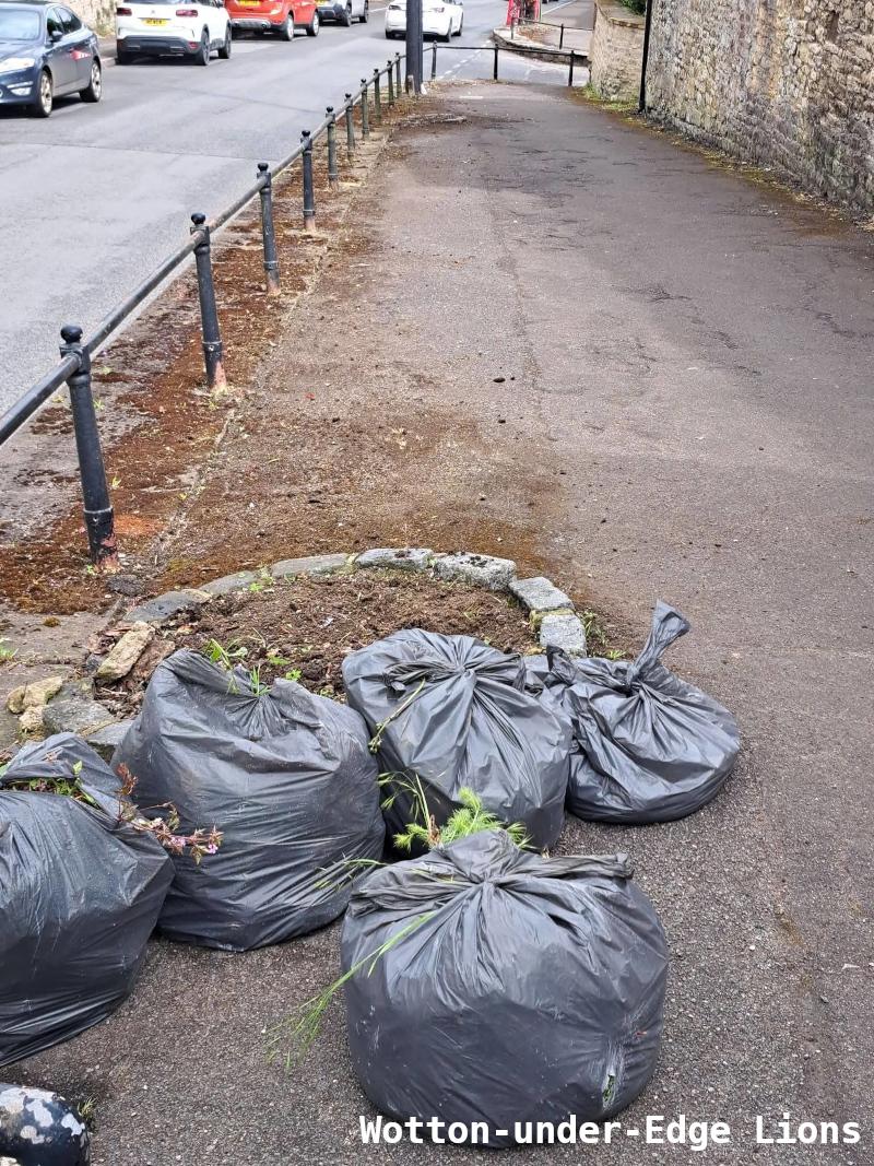 Bags of litter, weeds and moss on Old Town