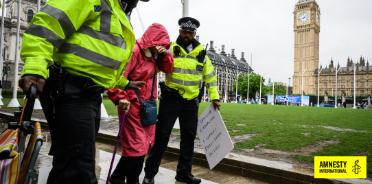 Peaceful protester arrested in Parliament Square