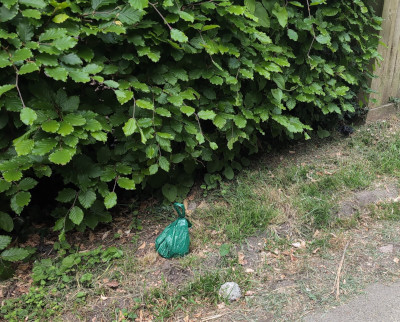 Used dog poo bag left outside a property on Westridge Road